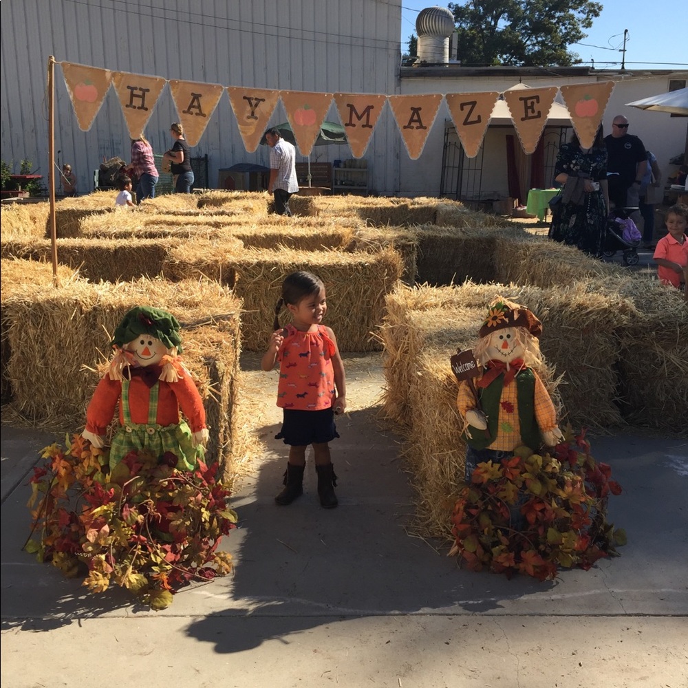 Meet your Posher, Isabel